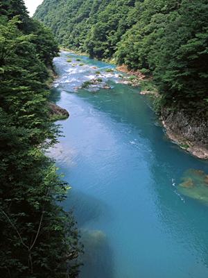 静岡県沼津市のビジネスホテル「東横INN富士山沼津駅北口2」の魅力と詳細情報