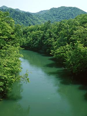 【完全ガイド】東横INN京浜東北線王子駅北口の魅力と宿泊のポイント