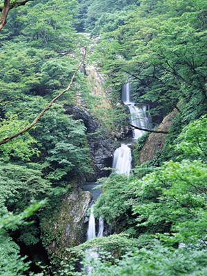 山梨県甲府市に位置する東横INN甲府駅南口2:快適なビジネス・観光滞在を実現するホテルの魅力と詳細情報