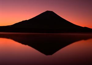 静岡駅南口から徒歩5分!東横INN静岡駅南口の魅力と宿泊のポイント