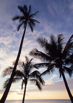 ホテル予約に最適な東横INN札幌駅北口の詳細ガイドと魅力解説