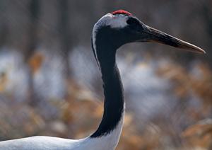 システムメンテナンスのお知らせ – 安定運用とサービス向上のための重要な情報