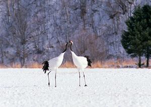 茨城県つくば市にある快適なビジネスホテル | 東横INN研究学園駅前の魅力と特徴