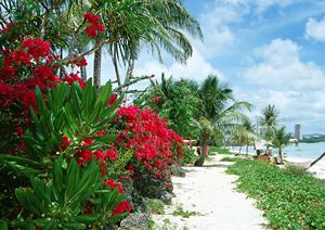 大阪・鶴橋駅前に位置する東横INN Osaka Tsuruhashiの魅力と詳細情報