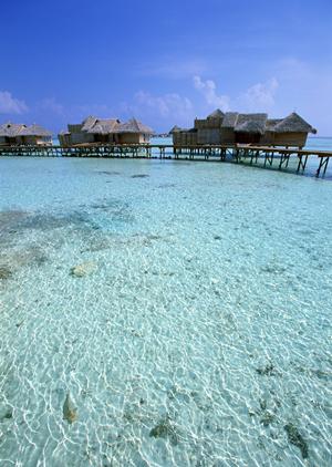 さいたま市にあるビジネスホテル「東横INNさいたま新都心」:快適な宿泊とアクセス便利な立地の詳細ガイド