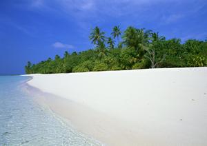 鹿児島中央駅徒歩1分の快適ビジネスホテル|東横INN鹿児島中央駅西口の魅力と詳細情報
