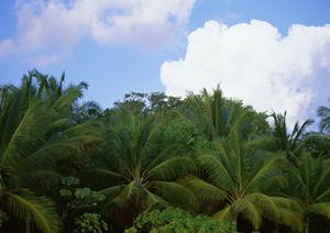 横浜市・二俣川駅から徒歩3分の快適ビジネスホテル|東横INN二俣川駅北口の魅力と特徴