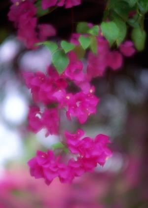 鹿児島県薩摩川内市に位置する東横INN薩摩川内駅東口の魅力と詳細情報