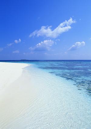 【公式情報】東横INN松江駅前|島根県松江市のビジネスホテルと宿泊予約のメリット